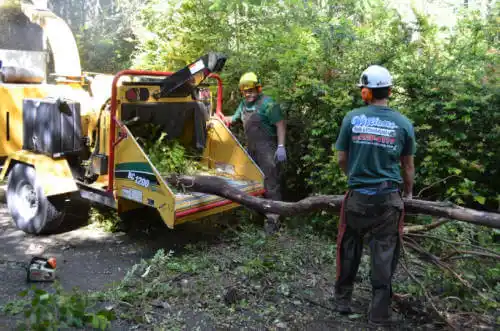 tree services Waycross